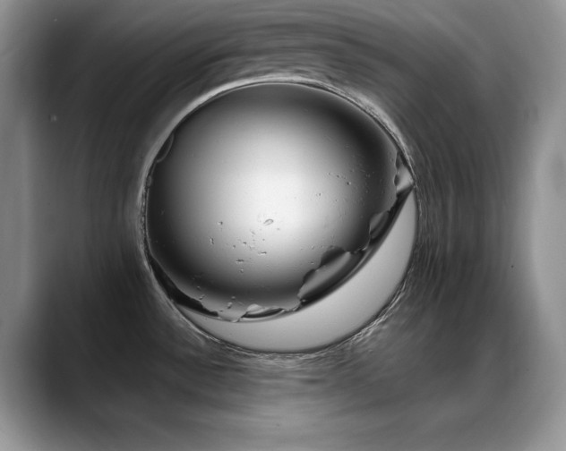 X0000088891532200706081239