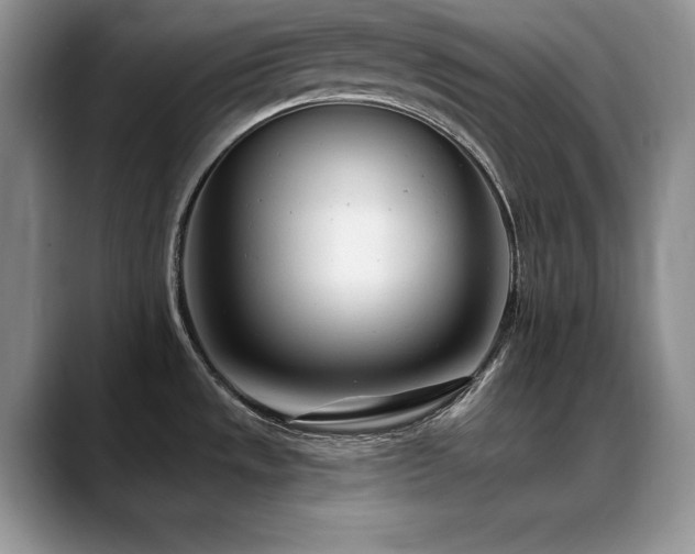 X0000088891533200706081239