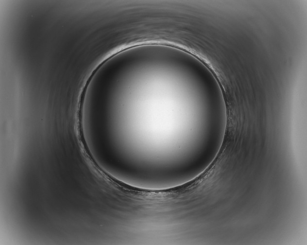 X0000088891534200706081239
