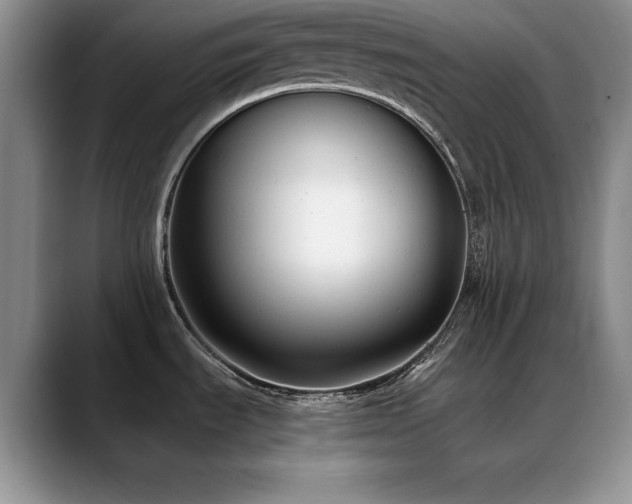 X0000088891535200706081239