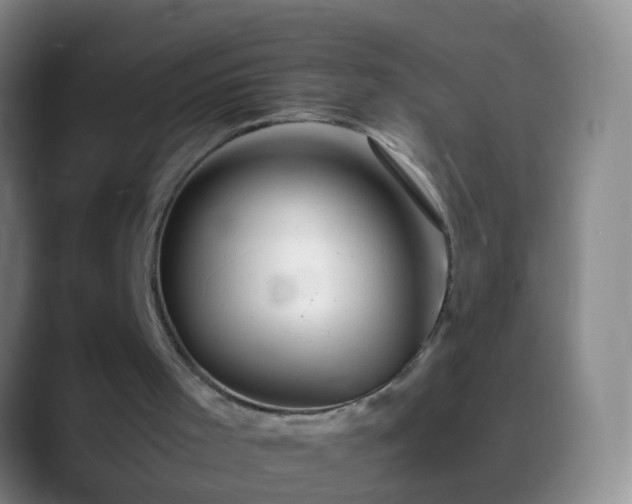 X0000088890001200706151838