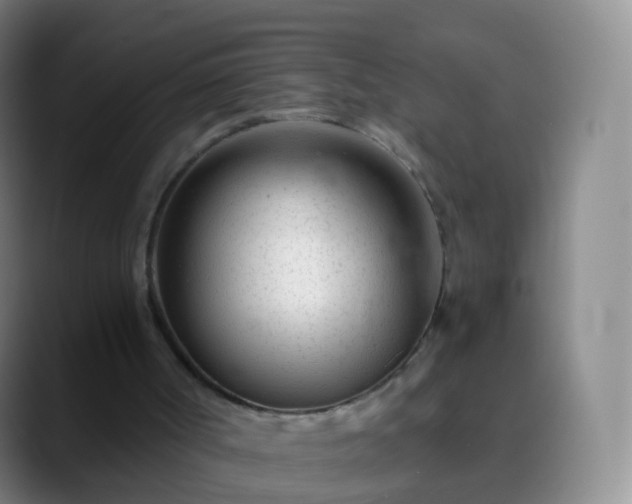 X0000088890002200706151838