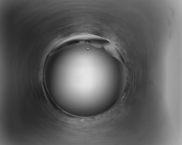 X0000088890003200706151838