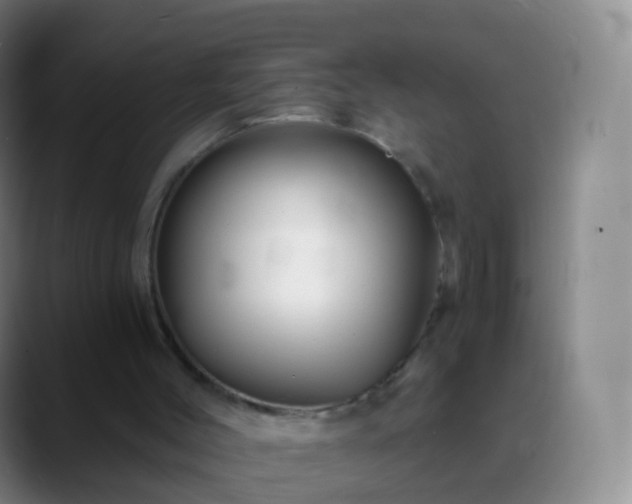 X0000088890004200706151838