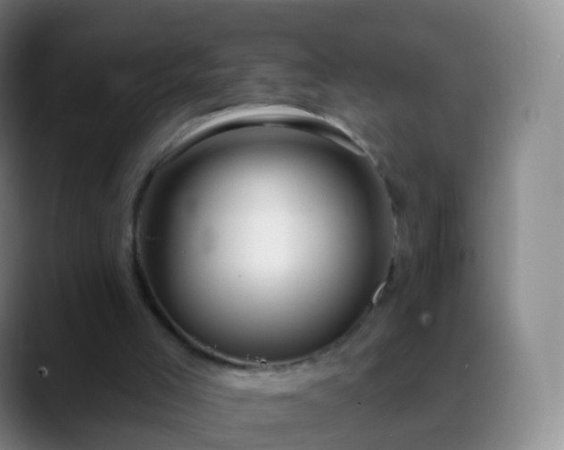 X0000088890005200706151838