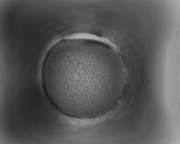 X0000088890006200706151838