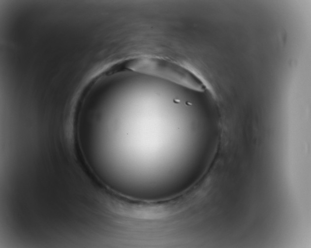 X0000088890008200706151838