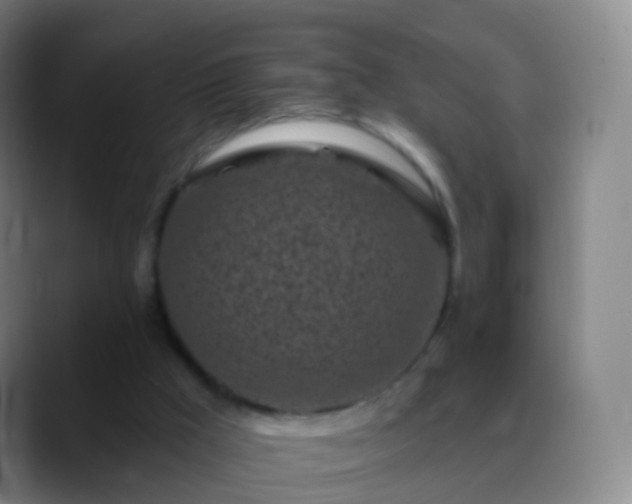 X0000088890009200706151838