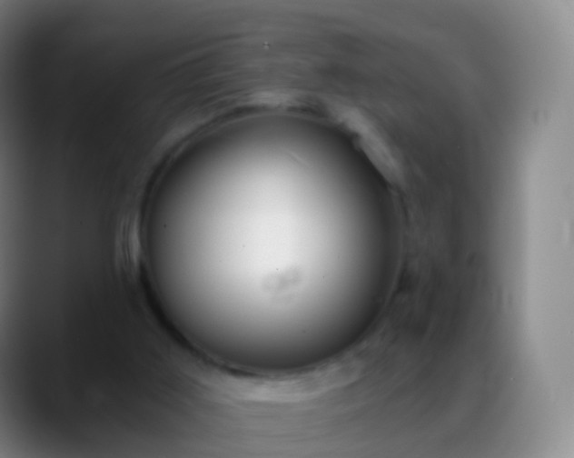 X0000088890011200706151838