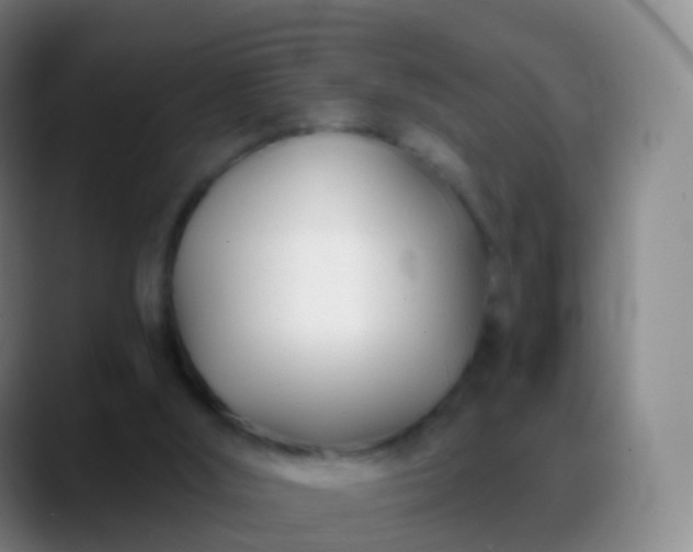 X0000088890012200706151838