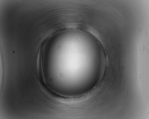 X0000088890013200706151838