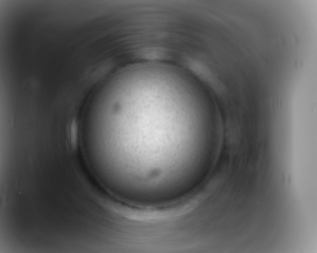 X0000088890014200706151838