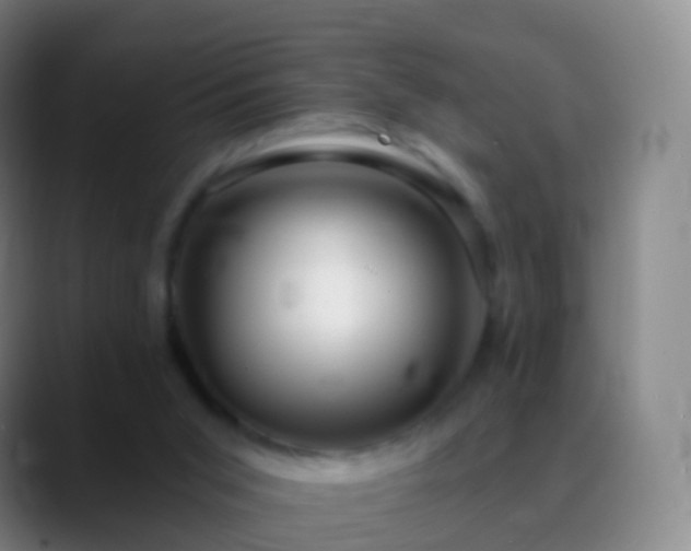 X0000088890015200706151838