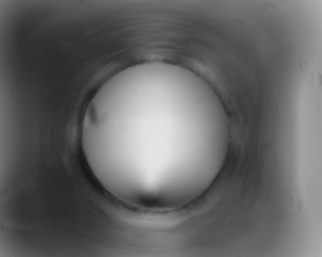 X0000088890016200706151838