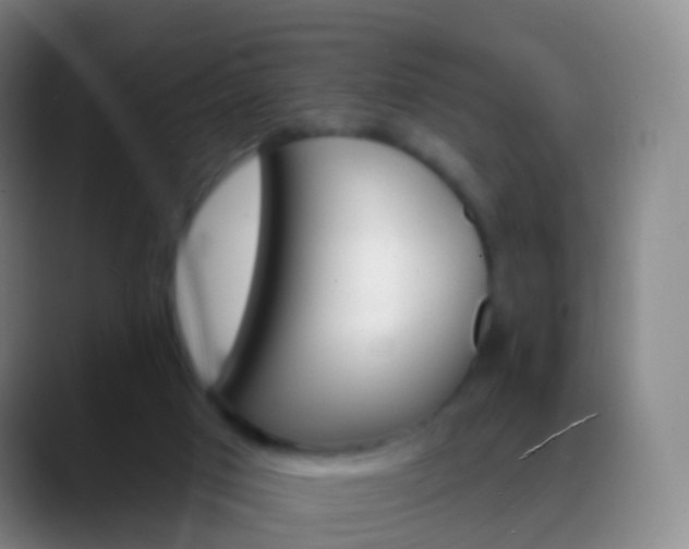 X0000088890017200706151838