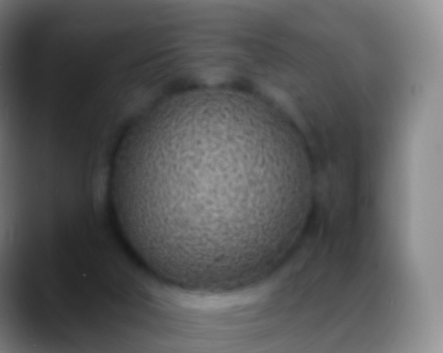 X0000088890018200706151838