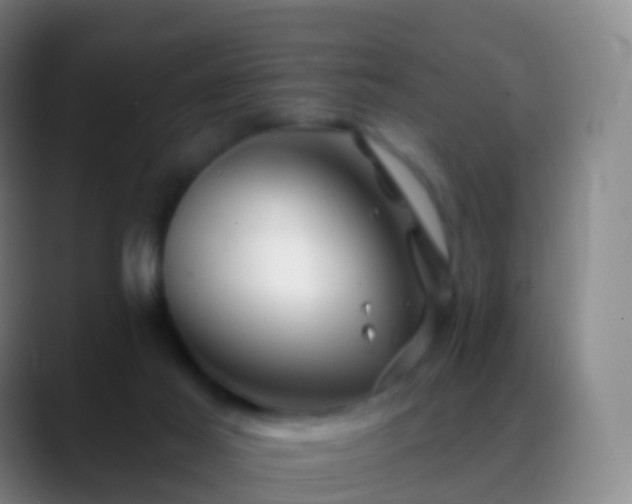 X0000088890021200706151838