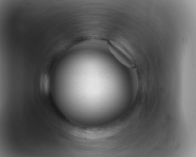 X0000088890022200706151838