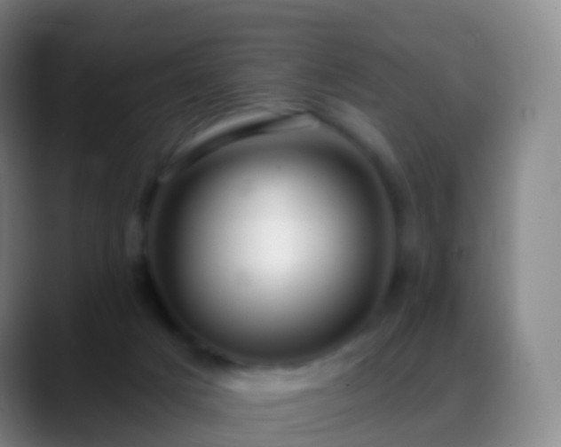 X0000088890025200706151837