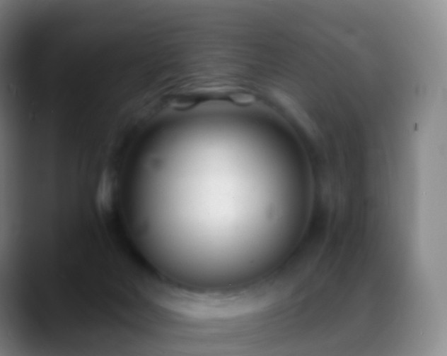 X0000088890026200706151837