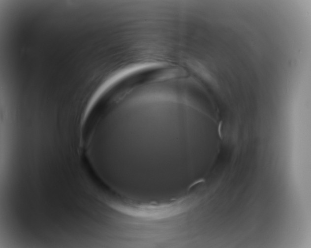 X0000088890027200706151837