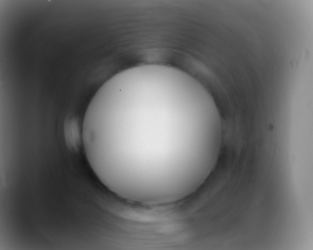 X0000088890028200706151837