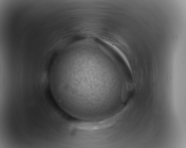 X0000088890029200706151837