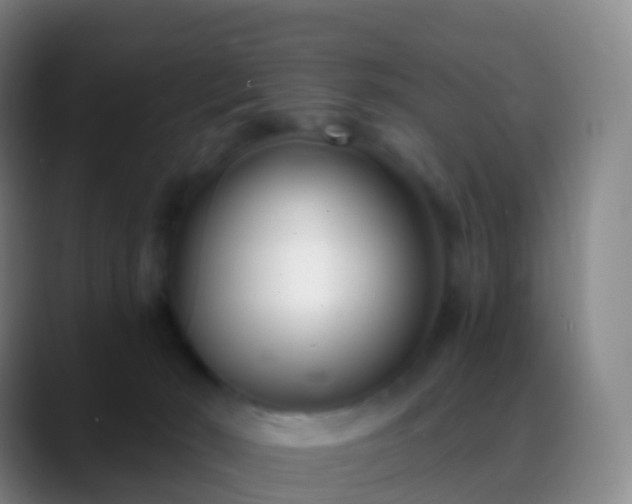 X0000088890030200706151837