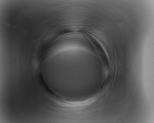 X0000088890031200706151837