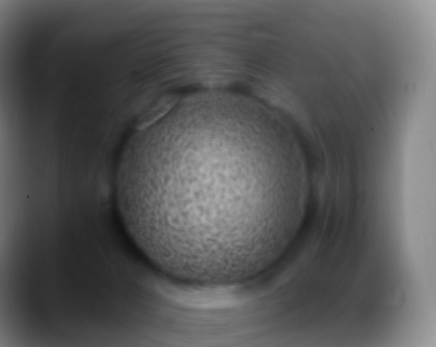 X0000088890032200706151837