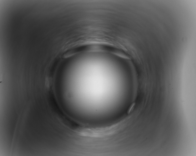 X0000088890033200706151837