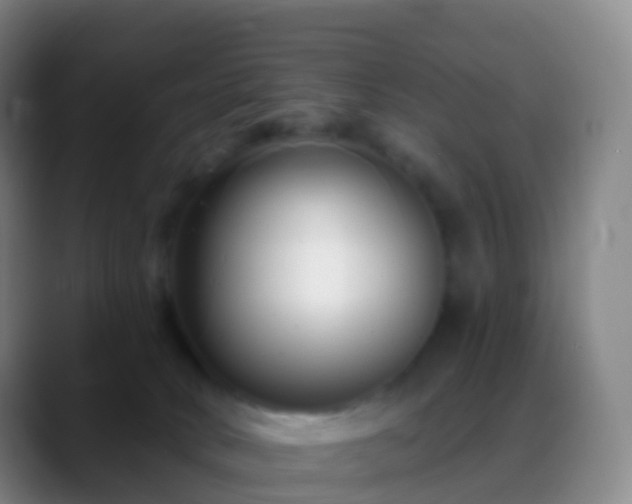 X0000088890034200706151837