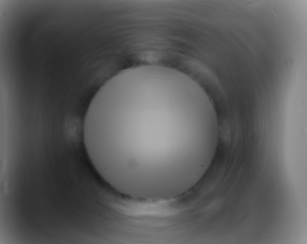 X0000088890036200706151837