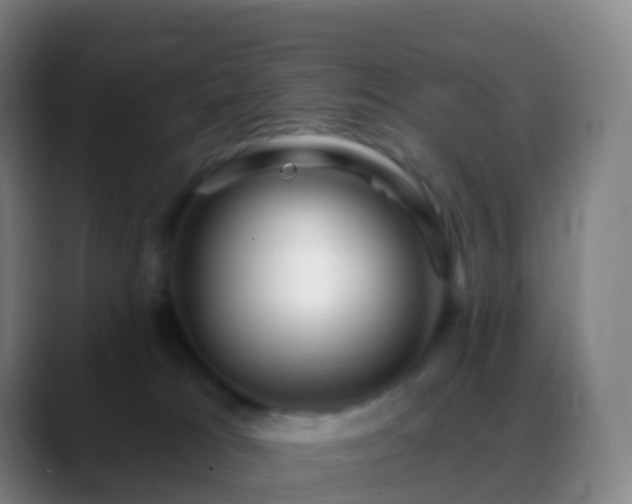 X0000088890037200706151837