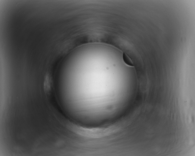 X0000088890038200706151837