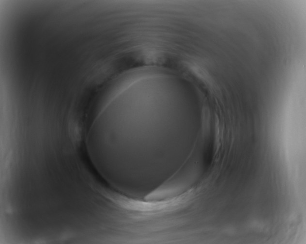 X0000088890039200706151837