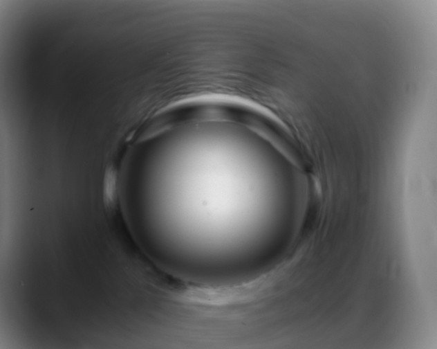 X0000088890041200706151837