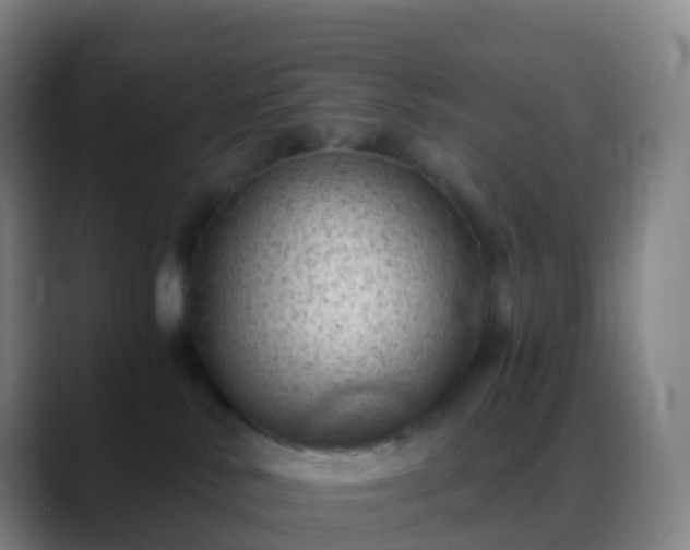 X0000088890042200706151837