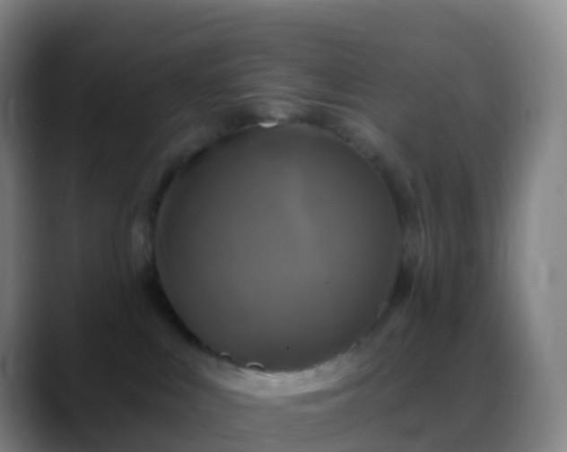 X0000088890043200706151837