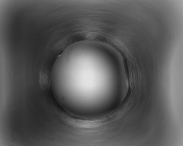 X0000088890044200706151837