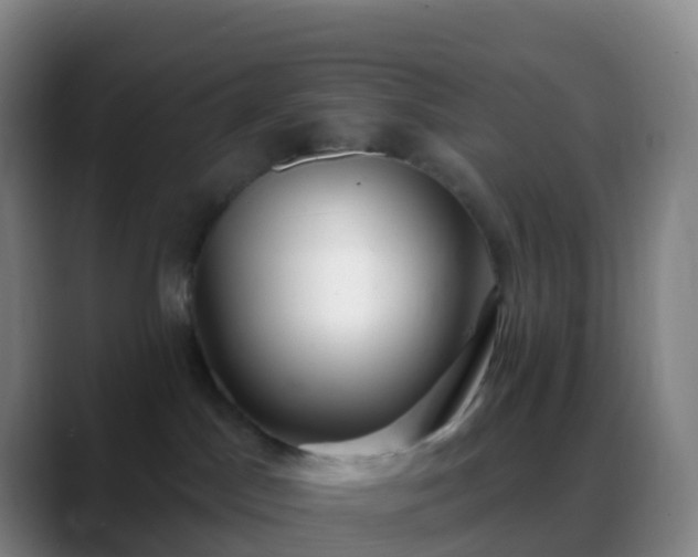 X0000088890045200706151837