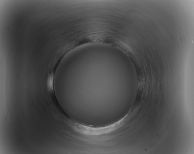 X0000088890047200706151837