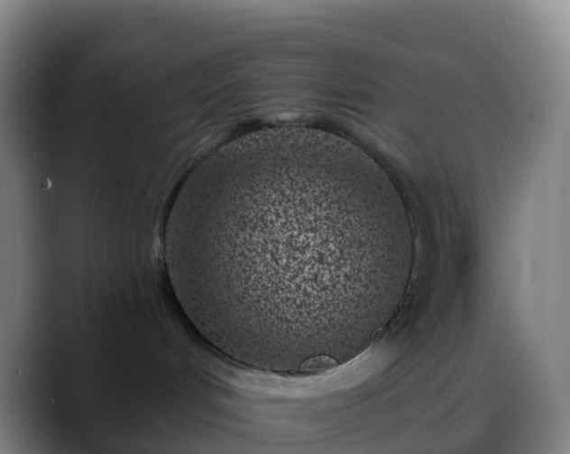 X0000088890048200706151837