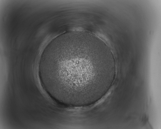 X0000088890049200706151837