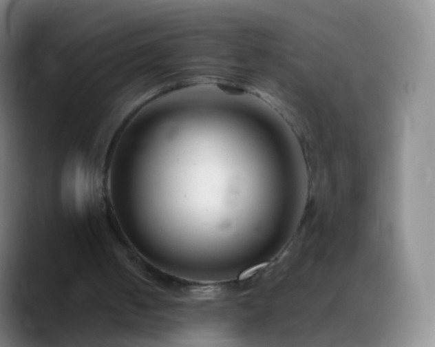 X0000088890050200706151837