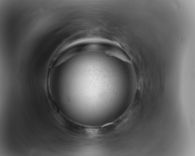 X0000088890052200706151837