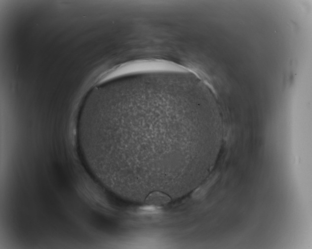 X0000088890053200706151837