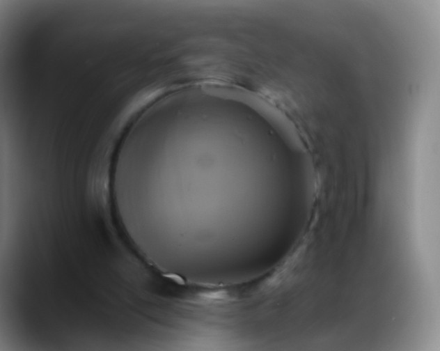 X0000088890054200706151837