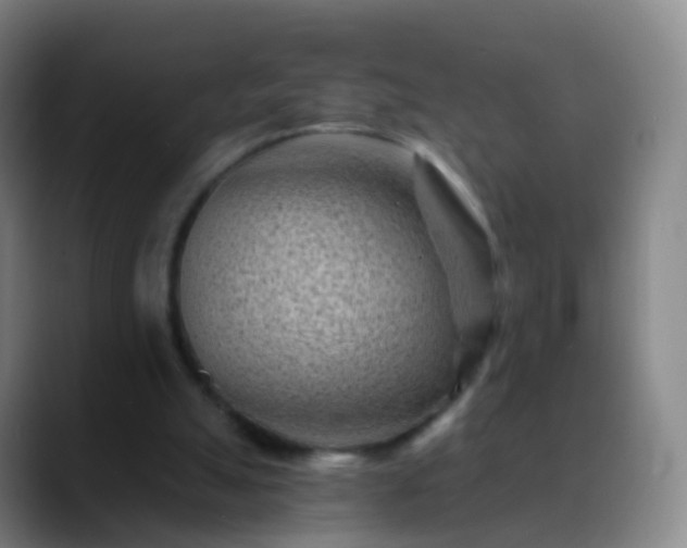 X0000088890055200706151837