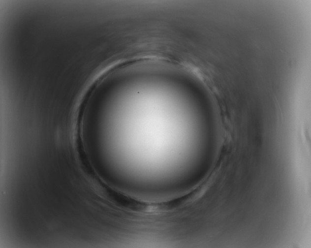 X0000088890056200706151837